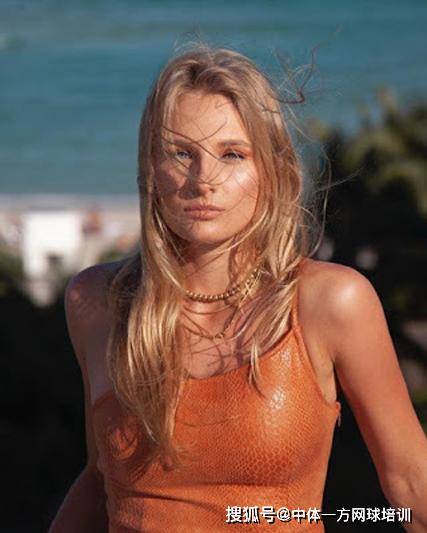 这种模式意 这种模式意