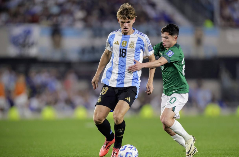 的微妙平衡 的微妙平衡