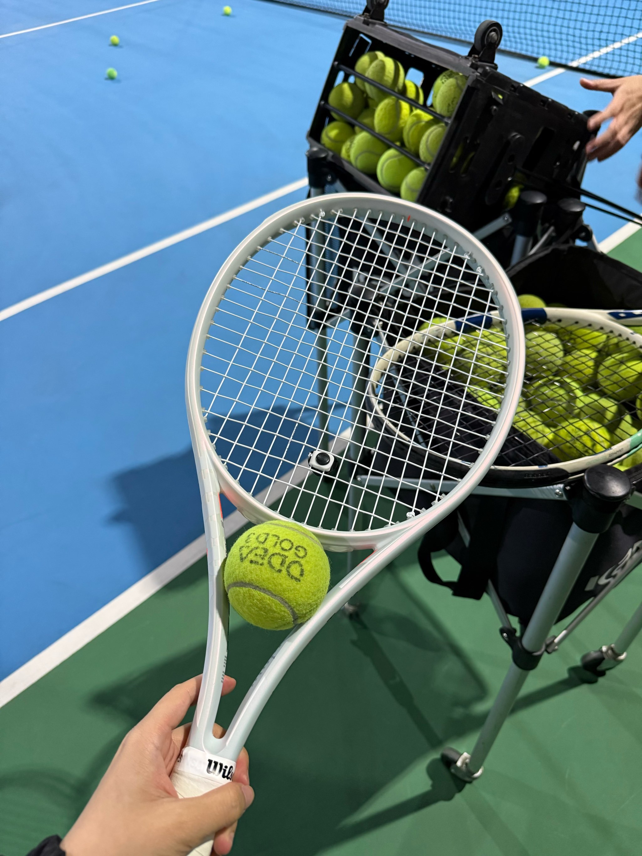 的比赛表现 的比赛表现